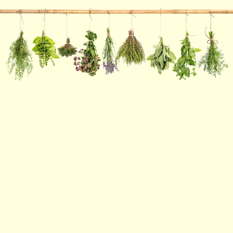 Healing herbs.jpg